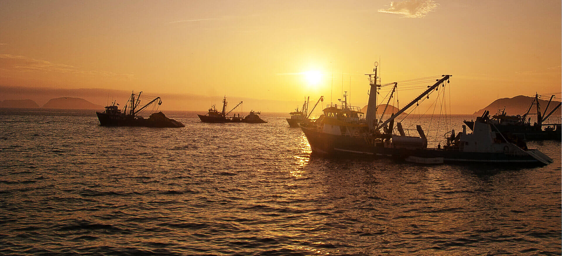 web mballcus home 01