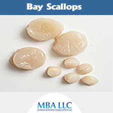 bay scallops